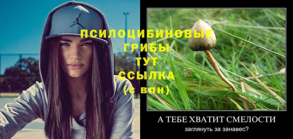 гидропоника Балахна