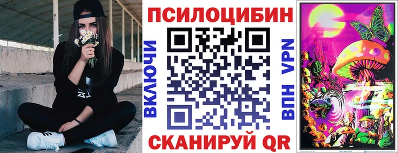 Псилоцибиновые грибы GOLDEN TEACHER  закладки  Будённовск 